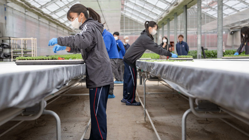 『世界に誇る「水の山」プロジェクト』～地元高校生の農作業体験受入