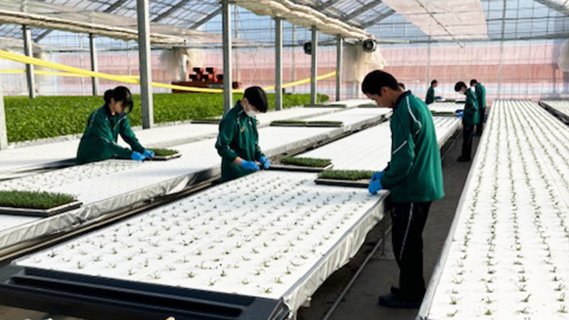 『「水の山」ユースアイデアプロジェクト』～地元高校生の農作業体験受入