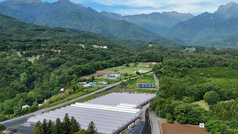 環境に配慮した植物工場の運営